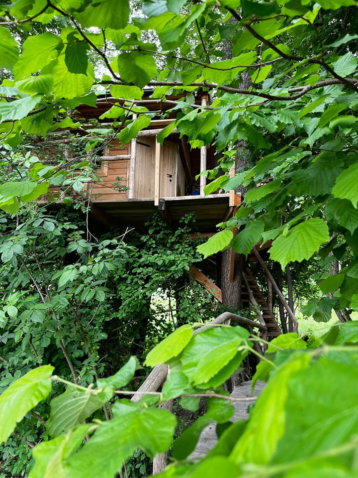 Drevesna hiška